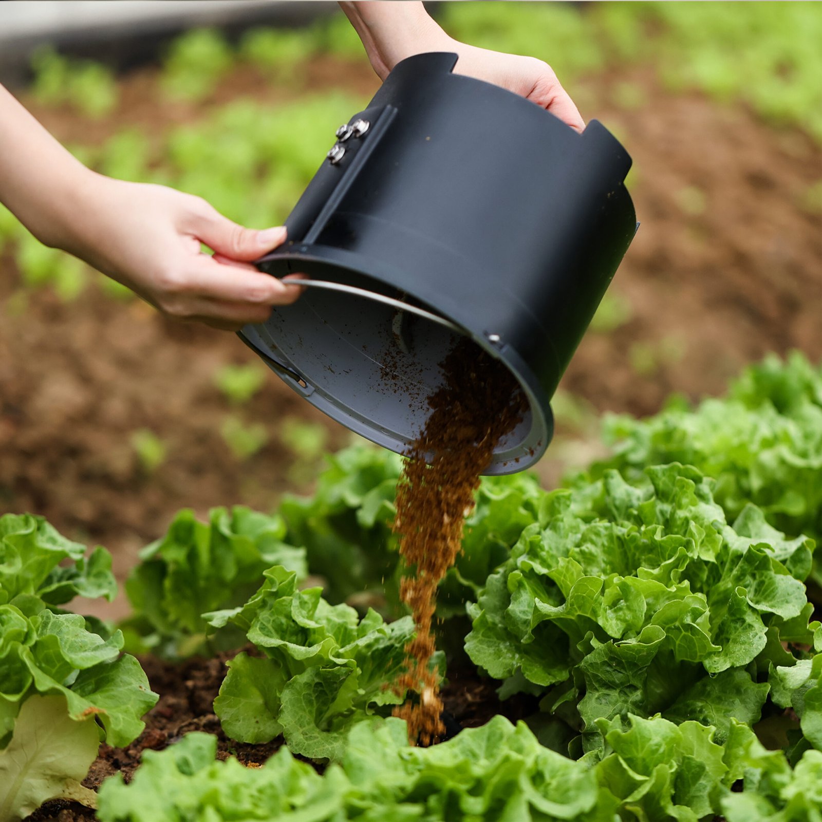 FW500NE-B2 - Image 5